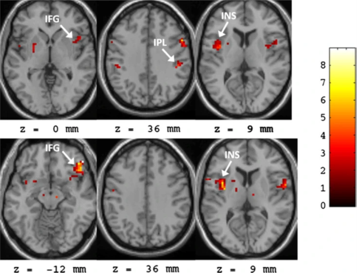 356JaHglGEr8eW5IdVb0ymE-V6XkzIYz5CV0jVJr94NuefOEFeL1VOZj-AHowT-retSD_WFnQ-_78d0oyBxipt1IxrMn7pnOlQydcADgZgP_vybqyhv0cczKjOvjIoMwBMh60Q2D6SqH8LslNJ1r3a8