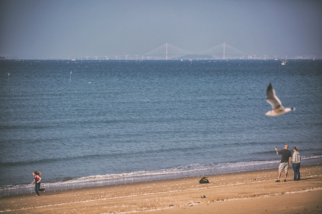 안산 시화방조제3.JPG