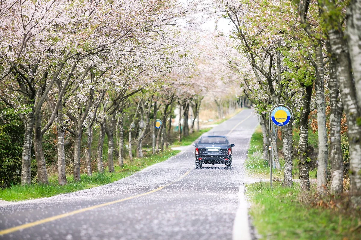 GettyImages-1149837188.jpg?type=w1200