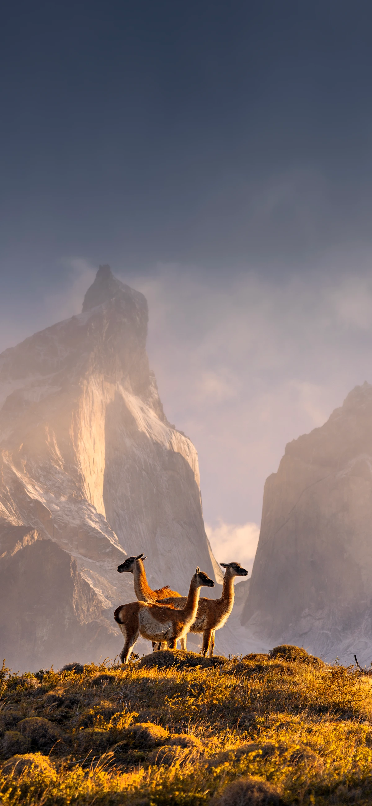 KakaoTalk_20200120_100833692_copy.png?type=w1200