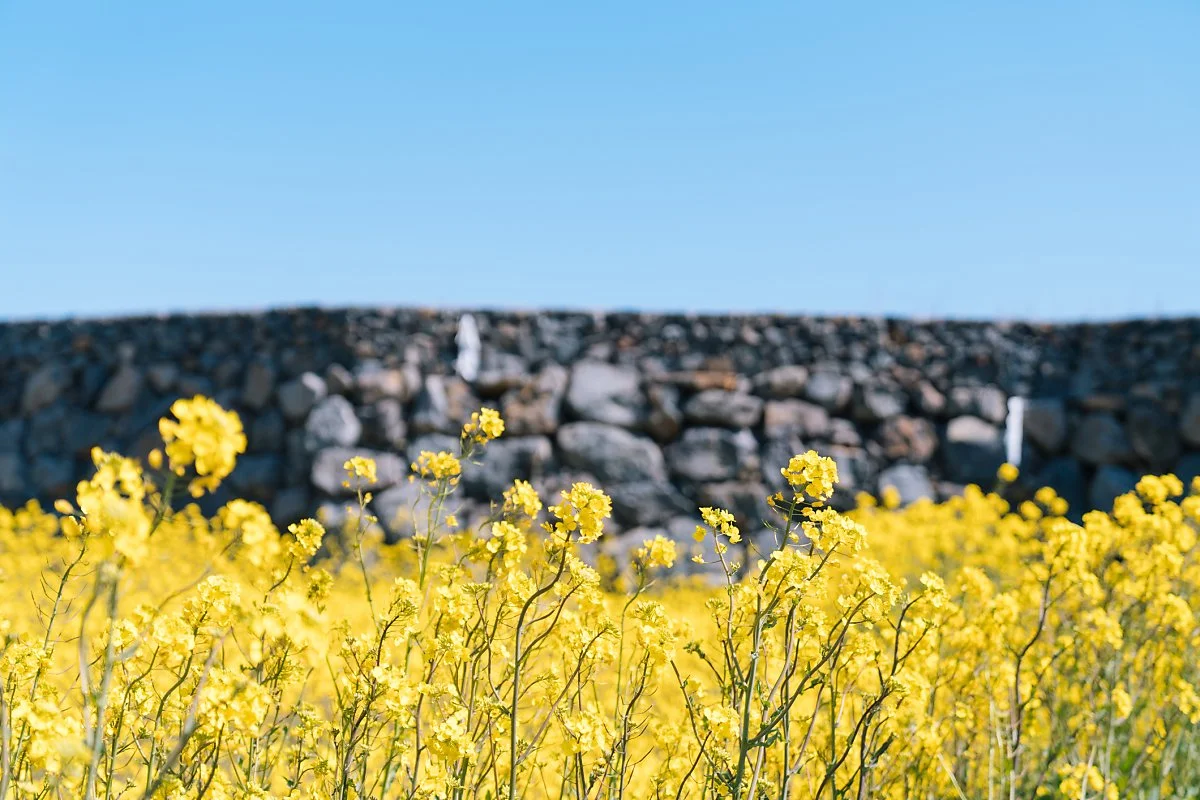 GettyImages-1190558531_%281%29.jpg?type=w1200&type=w1200