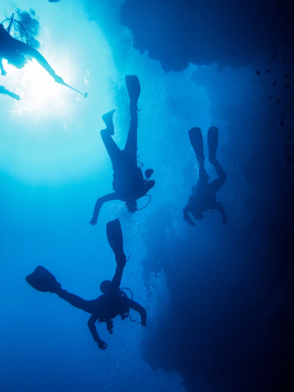 GettyImages-476169554.jpg?type=w1200