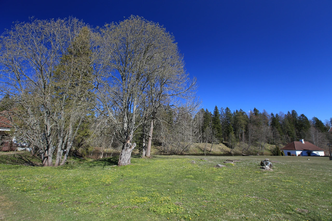 팔름세 궁전 B (09).JPG