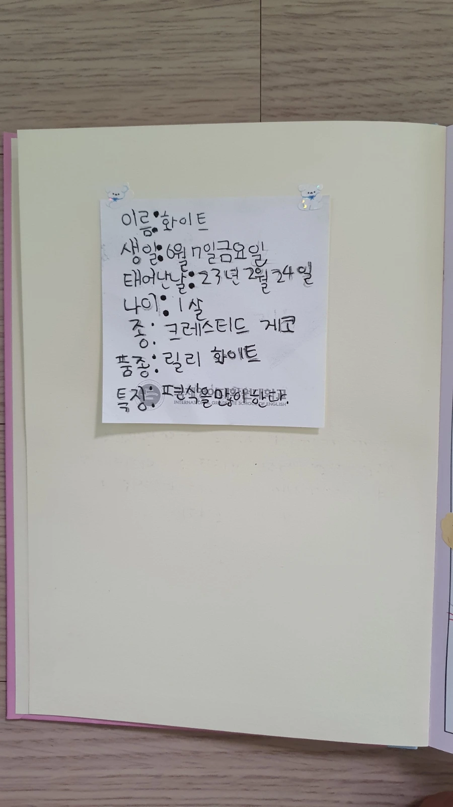 20240701%EF%BC%BF125321.jpg?type=w1