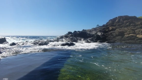 20240225%EF%BC%BF102442.jpg?type=w580