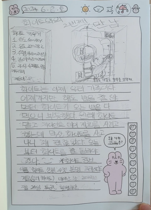 SE-9b2d54dc-375d-11ef-a1de-cf82a474d77f.jpg?type=w1