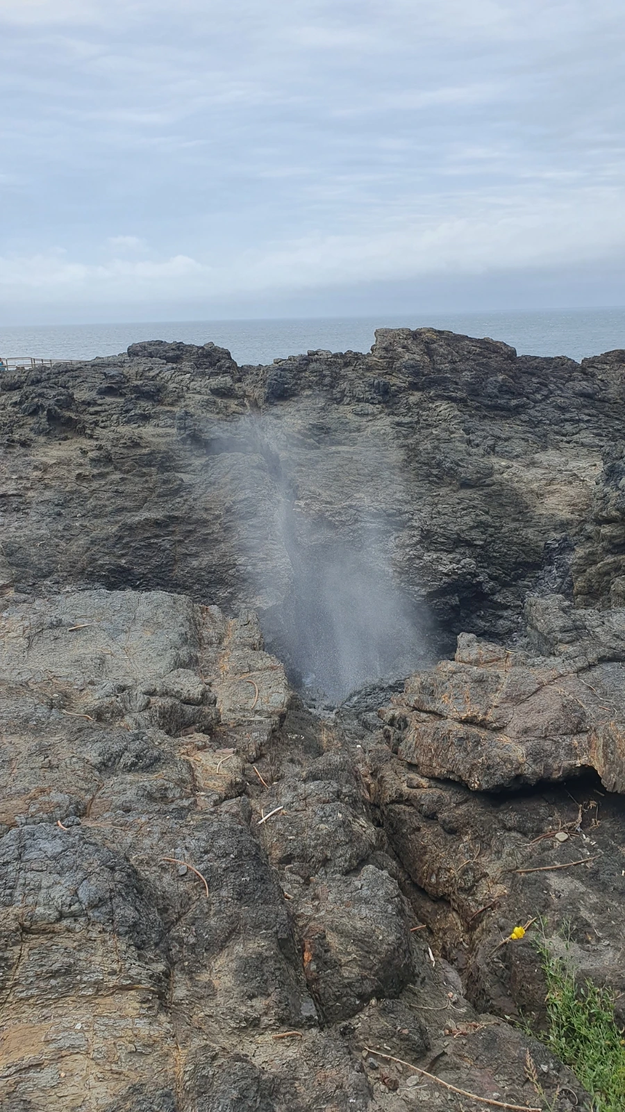 20240226%EF%BC%BF103315.jpg?type=w1