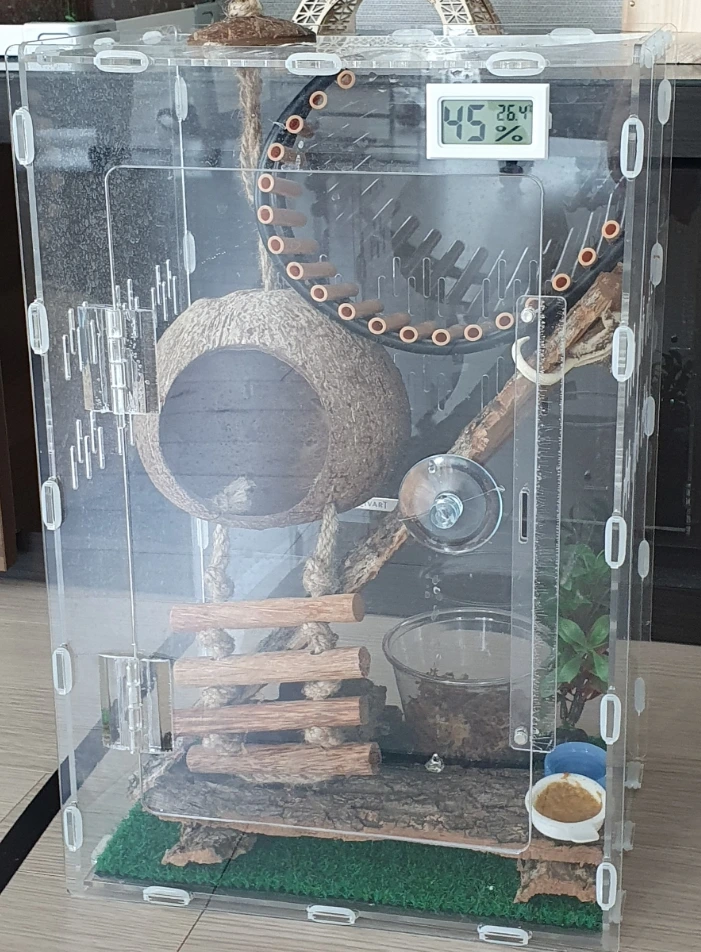 SE-f354db62-375f-11ef-a1de-13e6ea31aad9.jpg?type=w1