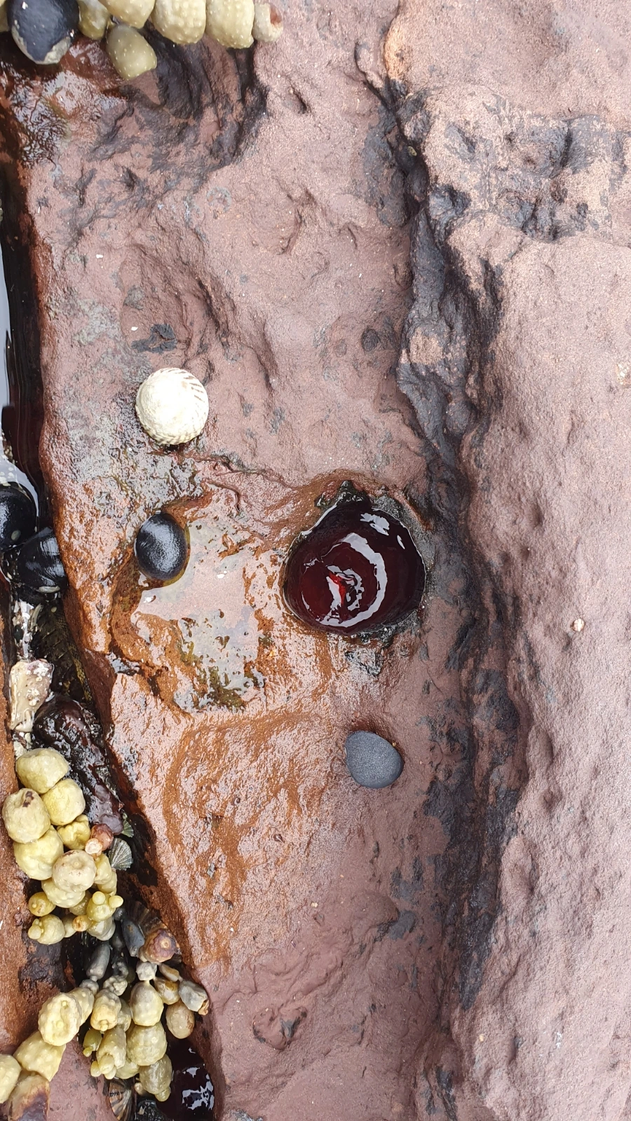 20240224%EF%BC%BF162655.jpg?type=w1