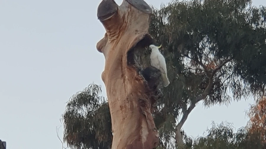 20240222%EF%BC%BF193108.jpg?type=w1