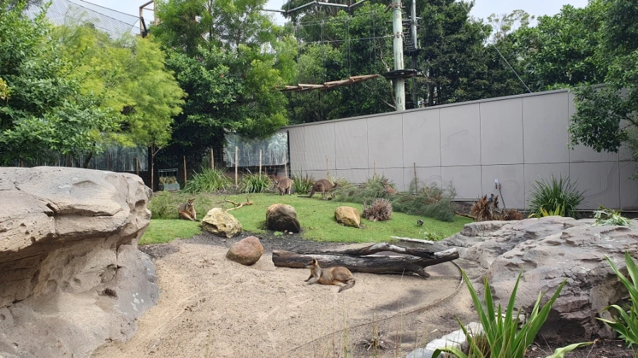 20240220%EF%BC%BF155305.jpg?type=w1