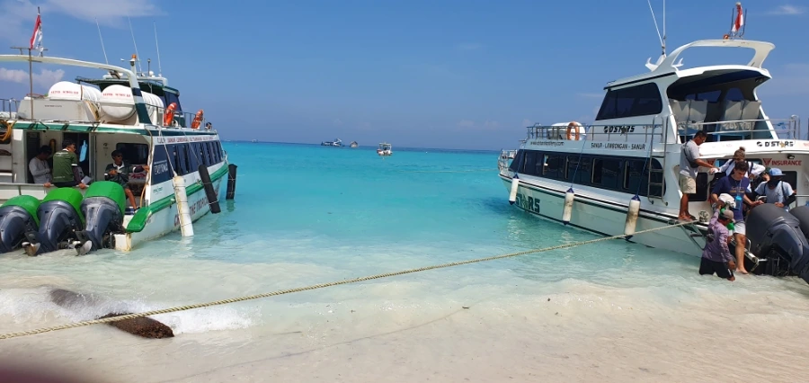 900%EF%BC%BF20250215%EF%BC%BF102147.jpg?type=w1