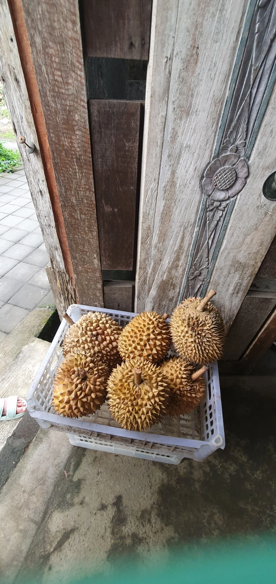 900%EF%BC%BF20250218%EF%BC%BF174259.jpg?type=w1