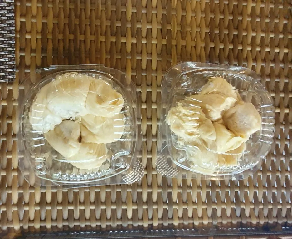 SE-6c1b4c52-62e0-11f0-9dcb-6b371f44187c.jpg?type=w1