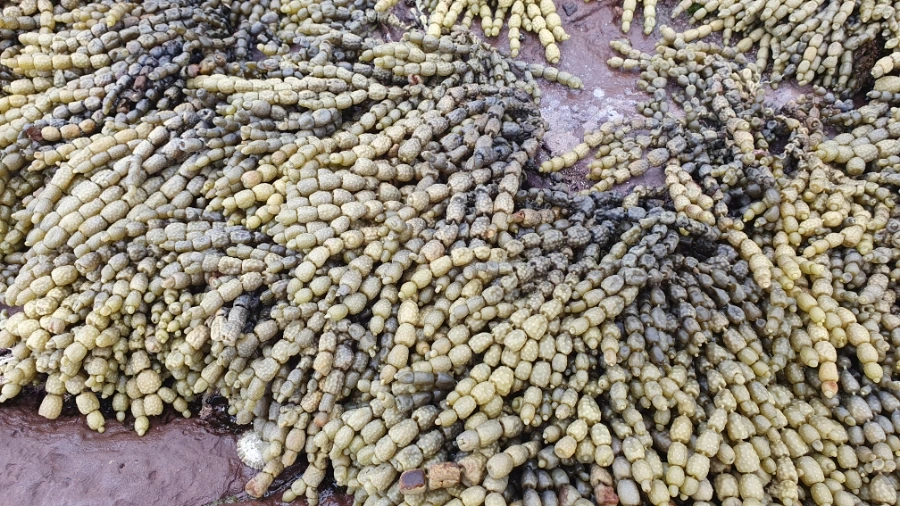 20240224%EF%BC%BF162800.jpg?type=w1