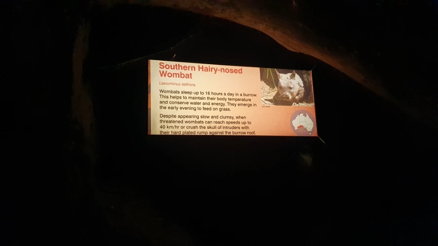 20240220%EF%BC%BF150042.jpg?type=w1