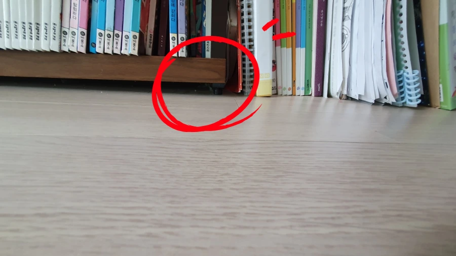 SE-dda5ae5e-3762-11ef-a1de-437796ea163f.jpg?type=w1