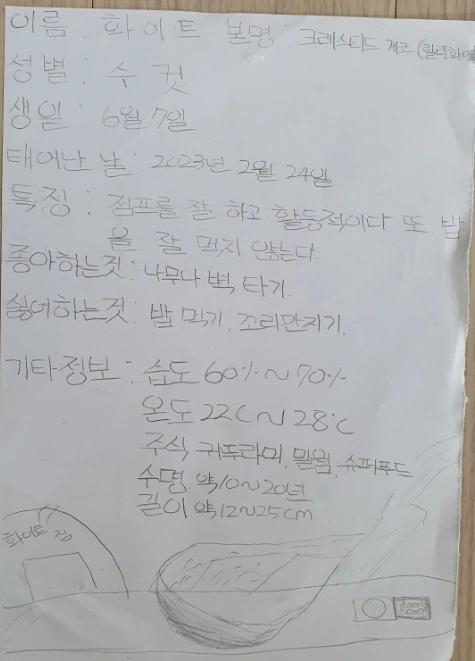 SE-9b35df61-375d-11ef-a1de-dd3614e0f455.jpg?type=w1