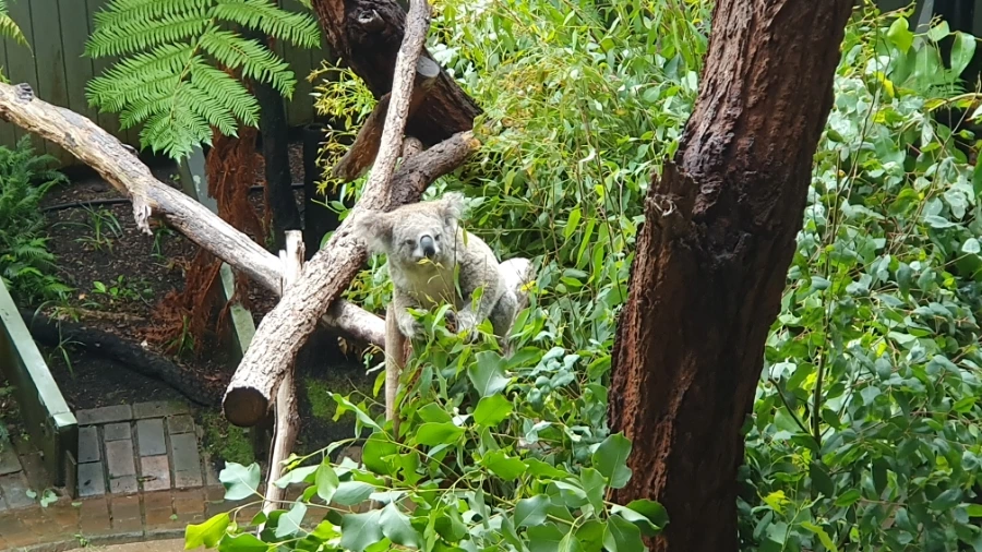 20240220%EF%BC%BF105707.jpg?type=w1