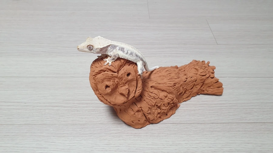 20240620%EF%BC%BF205857.jpg?type=w1