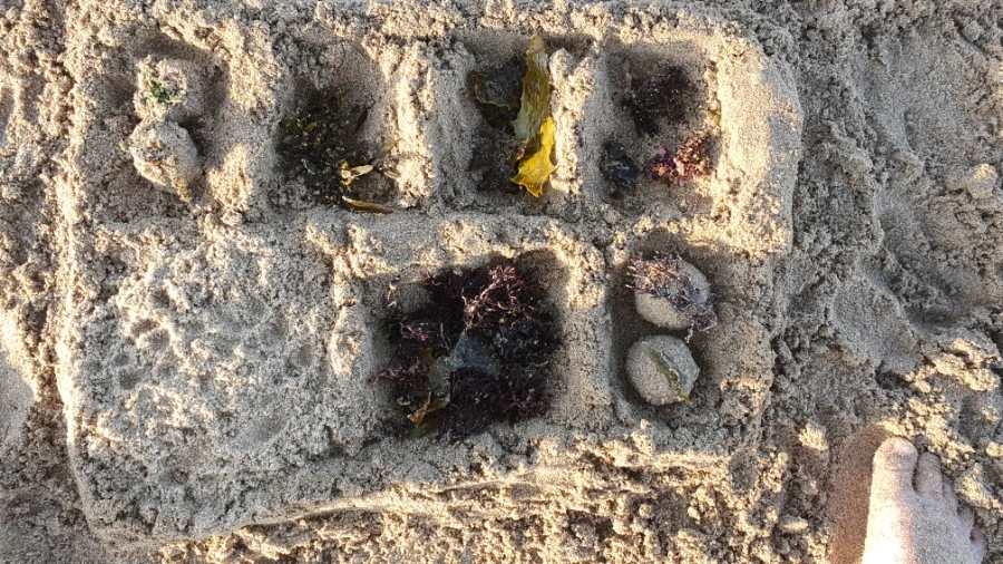 20240225%EF%BC%BF182922.jpg?type=w1