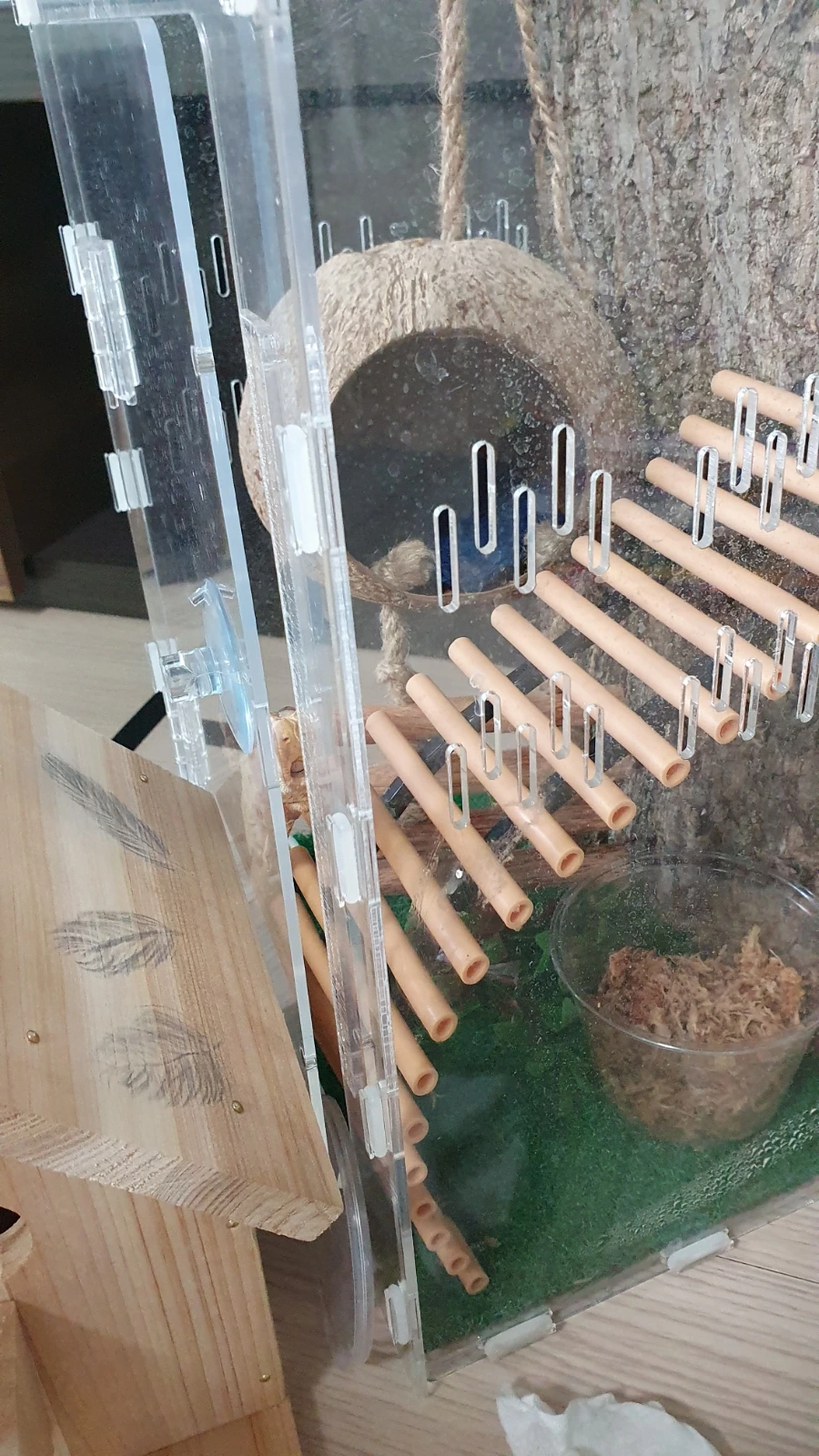 20240618%EF%BC%BF185906.jpg?type=w1