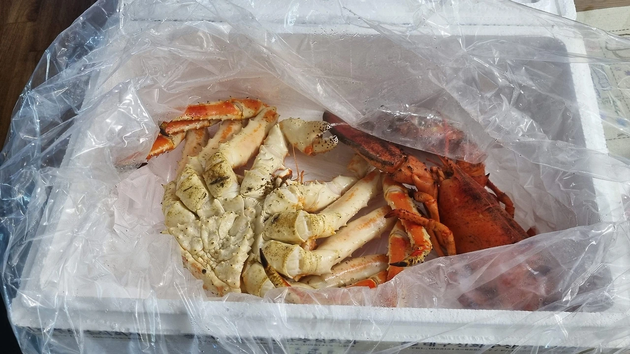 690dcfc44f4d4.jpg?imgSeq=70462