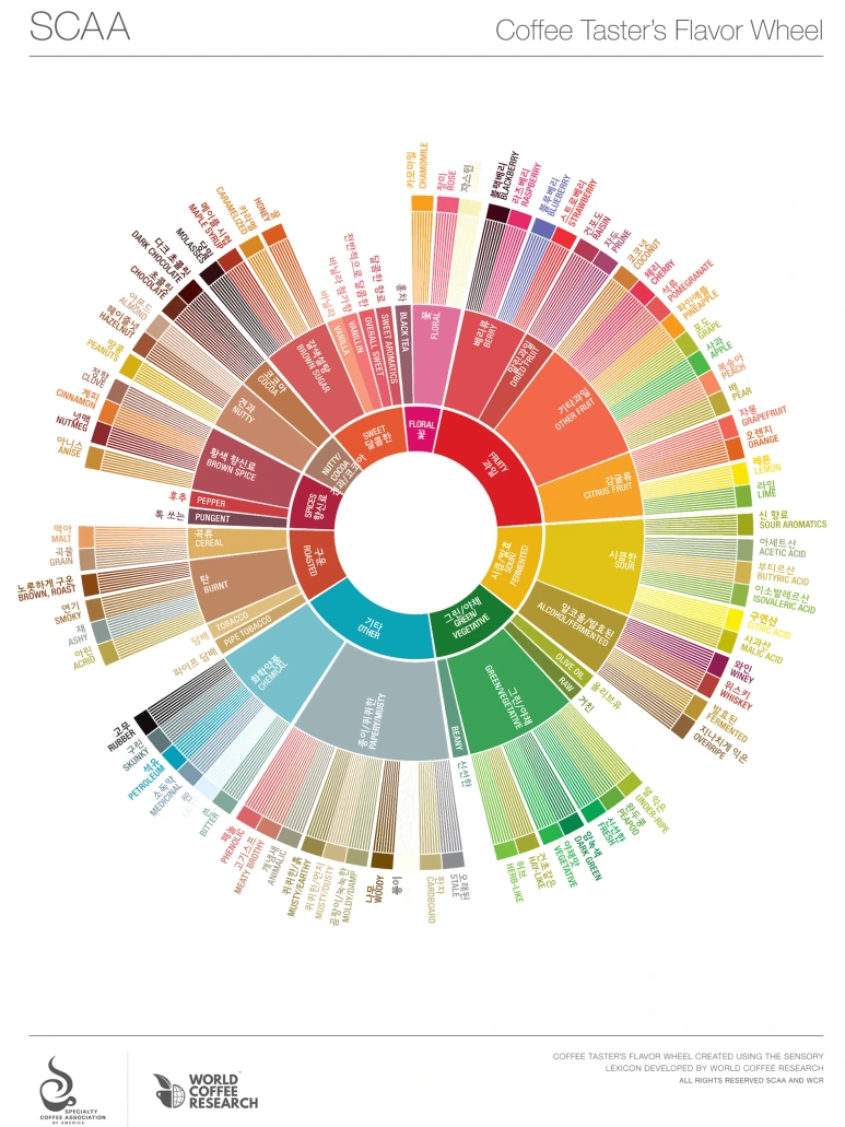 SCA%ED%94%8C%EB%A0%88%EC%9D%B4%EB%B2%84%ED%9C%A0_%ED%95%9C%EA%B8%80.PNG?type=w773