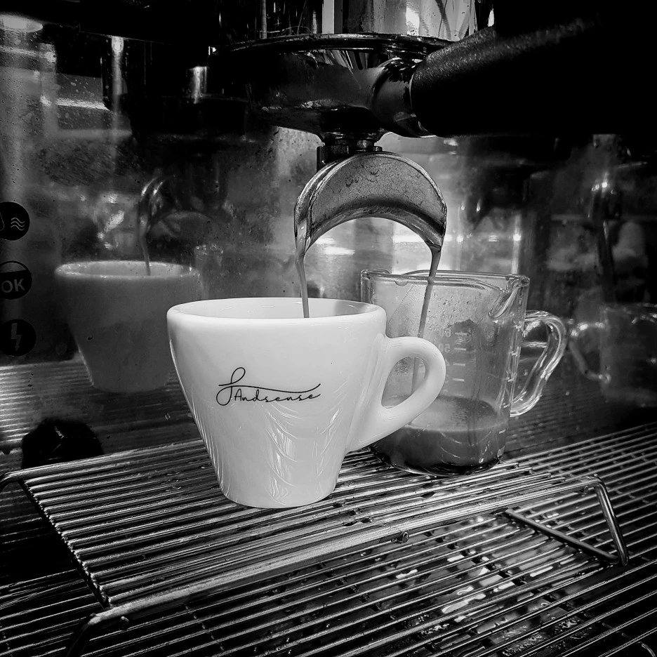 SE-8d41cf6c-50b9-4a31-b56e-14e700a72dd4.jpg?type=w1