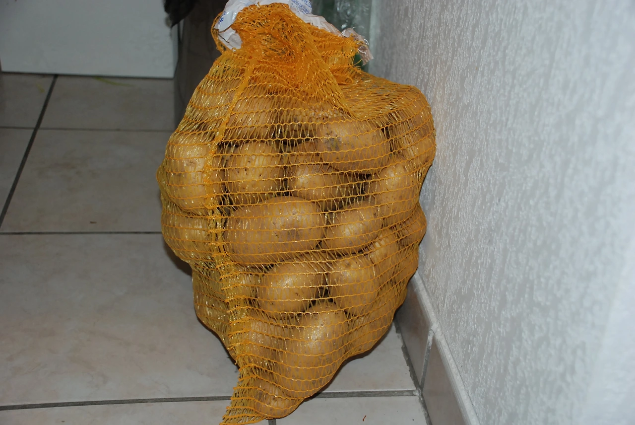 모래언덕 111.JPG