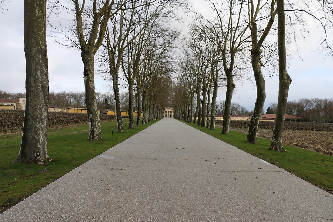 뽕떼,오브리옹,빠쁘 001.JPG