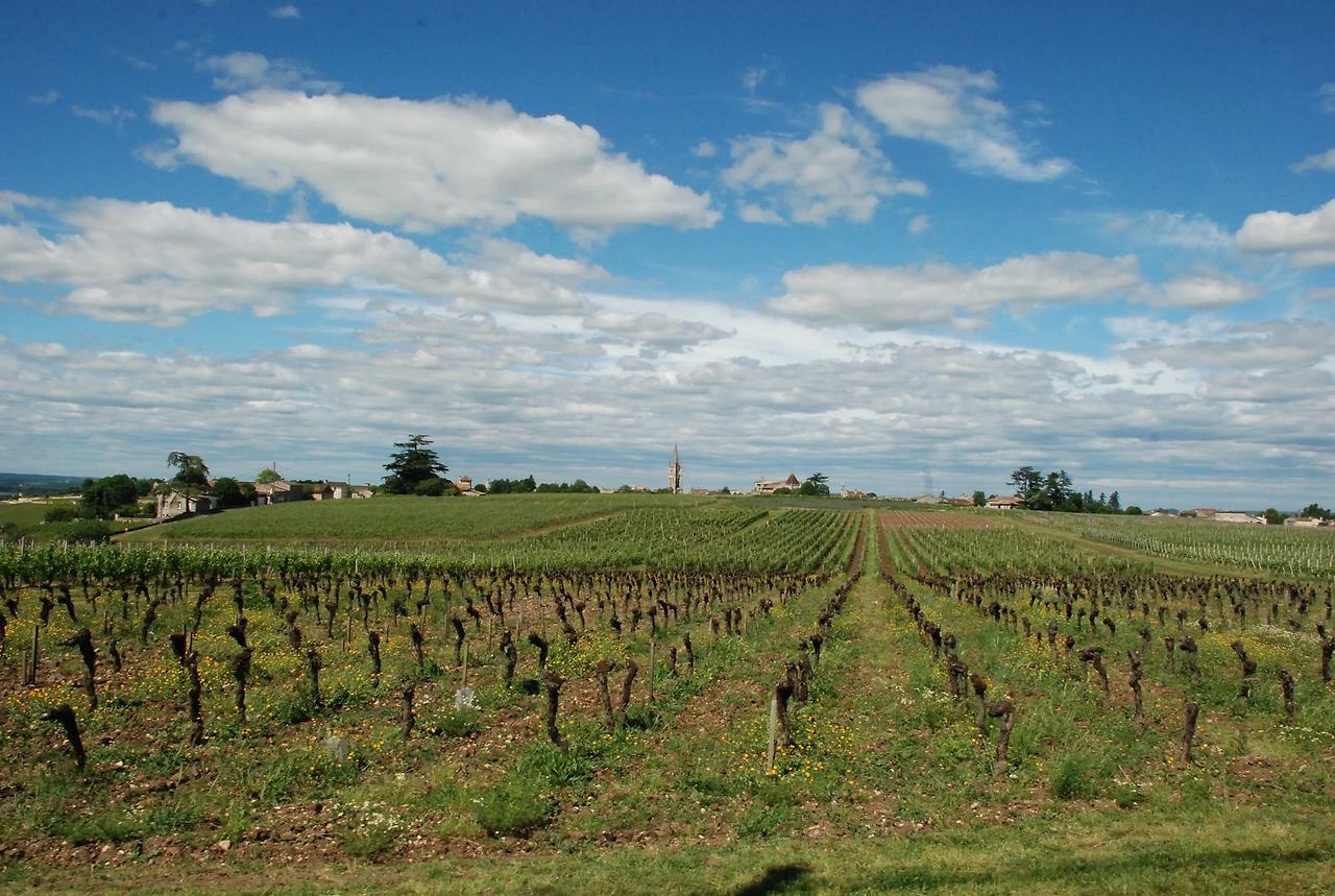 5월21일 생떼밀리옹 기차 067.JPG