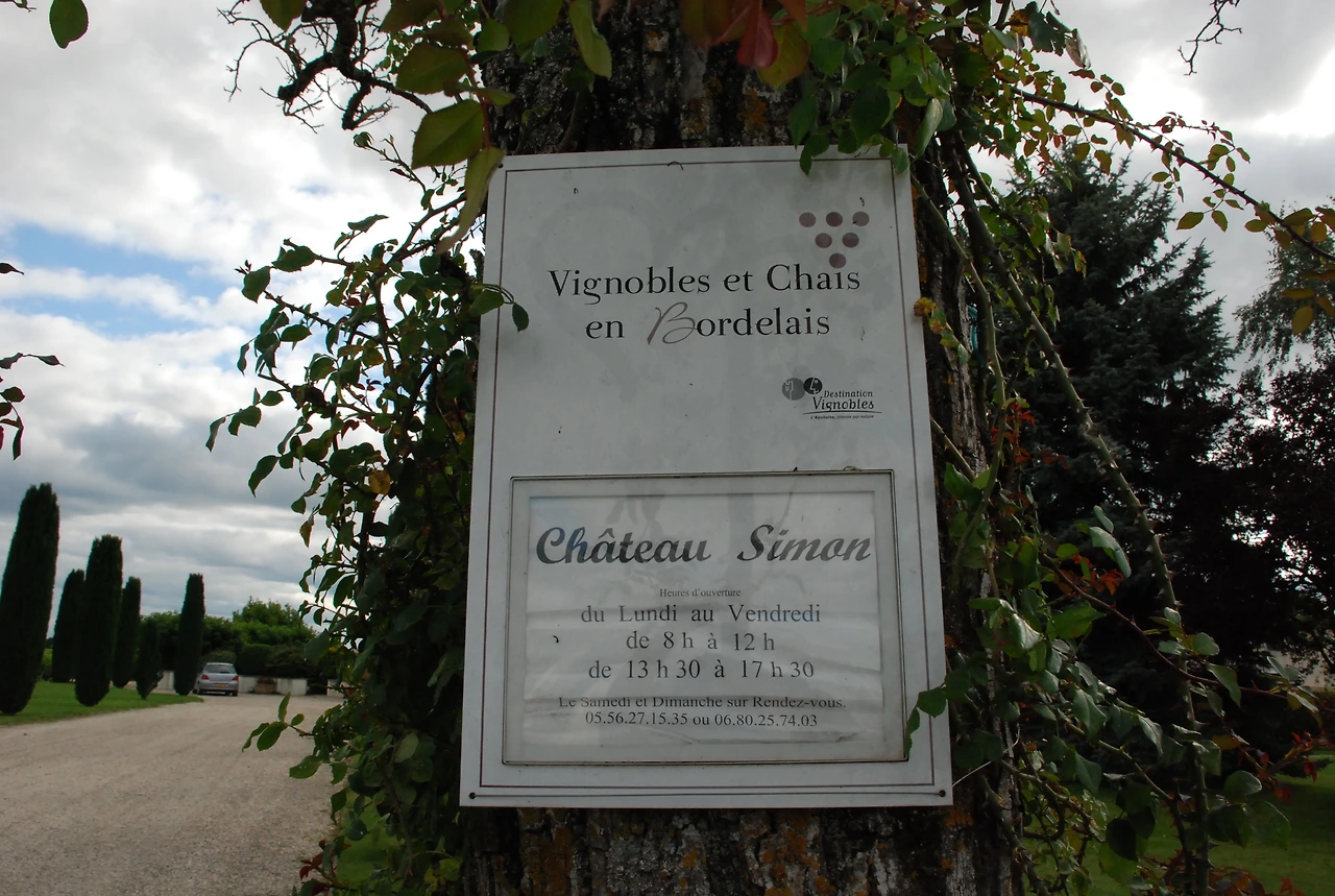 쏘테른 스위트 와인 480.JPG