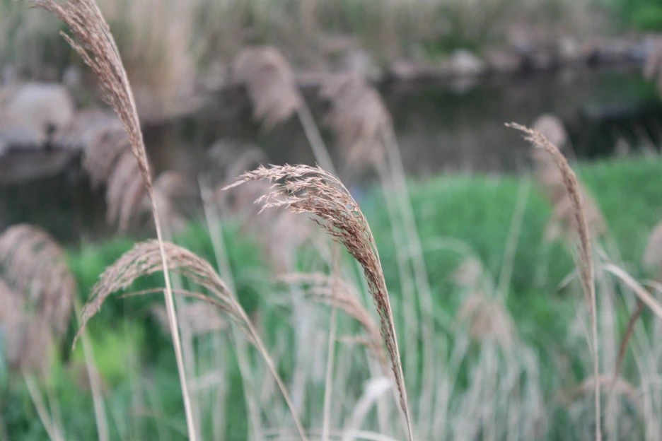 IMG_8155.JPG?type=w1