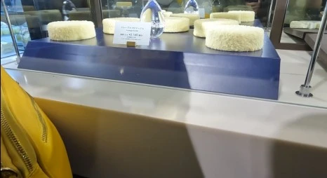 SE-caafa86c-3233-4fee-a43f-8cf597041e16.jpg?type=w466