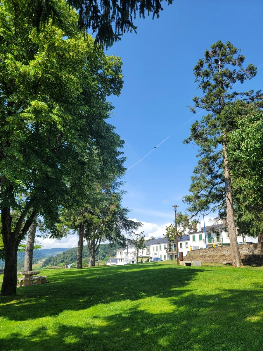 AD_4nXekkfWo9C7yrBF6PYYnjf3U6BvshC9JP3HIVjXjjSDO1Rw5ShUd1ljmVwvIofupEuVRyYk2LigoSYg416YYSwignrPyfNgOMkZWLDvnot9QIj3UuhzbD4lKak54Y56xWdscK3_aRw?key=P0vLDc16btPMiF_WFP4JBDLN