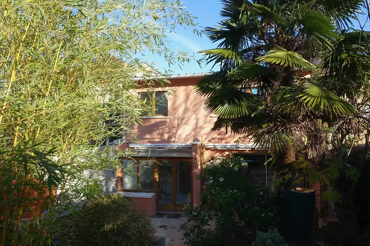 Rose toulouse - 1.jpeg