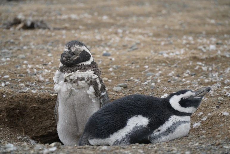 SBMU0432.JPG?type=w773