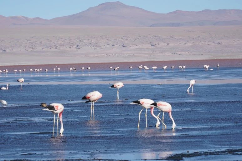 DSC04629.JPG?type=w773