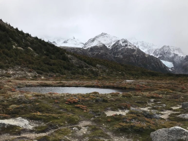 %ED%81%AC%EA%B8%B0%EB%B3%80%ED%99%98IMG_6504.JPG?type=w773