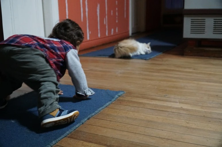 DSC05353.JPG?type=w773