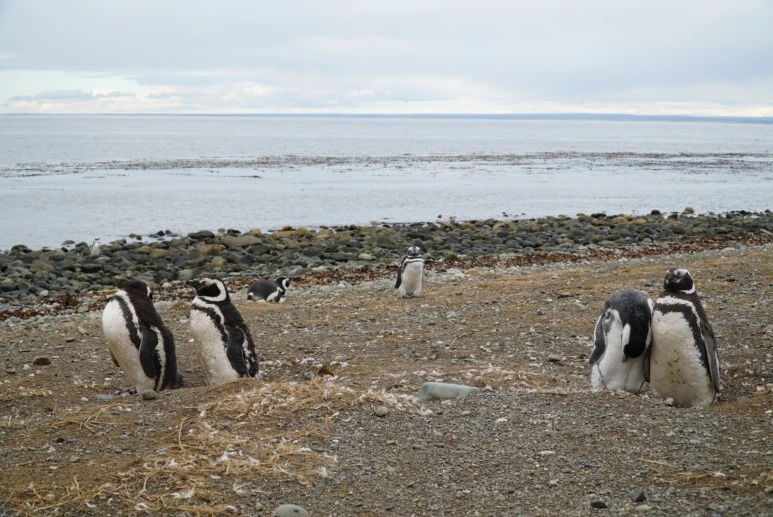 LRSR1422.JPG?type=w773