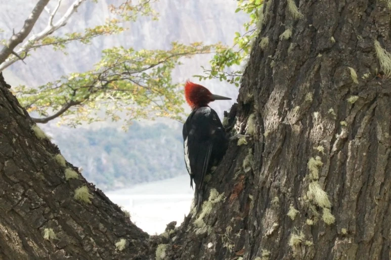 %ED%81%AC%EA%B8%B0%EB%B3%80%ED%99%98DSC08161.JPG?type=w773