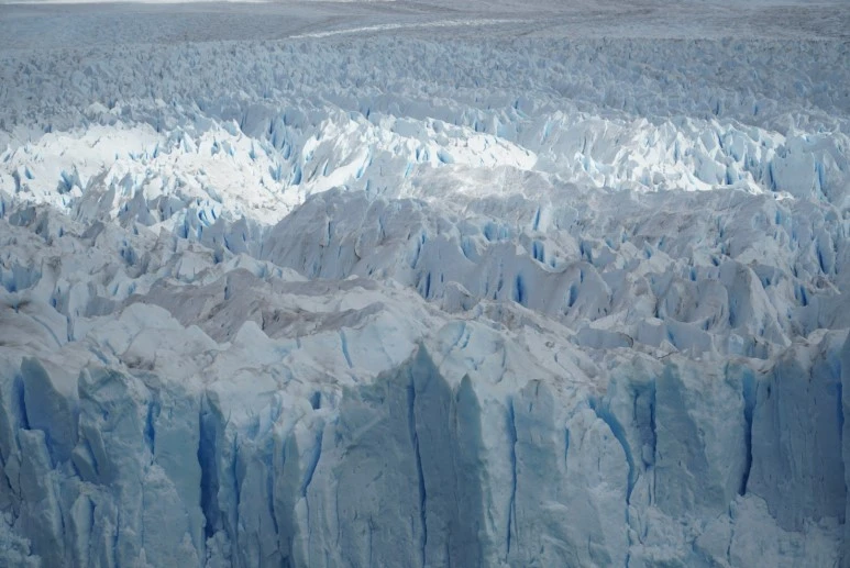 ONSA6619.JPG?type=w773