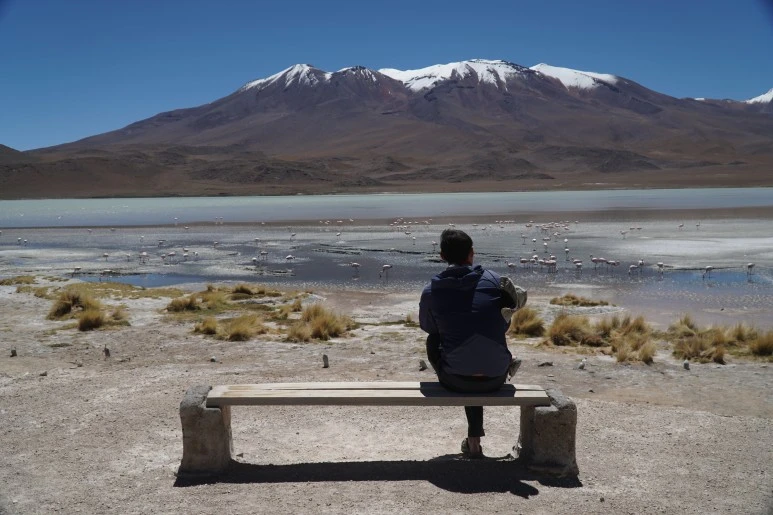 DSC04527.JPG?type=w773