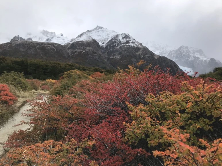 %ED%81%AC%EA%B8%B0%EB%B3%80%ED%99%98IMG_6496.JPG?type=w773