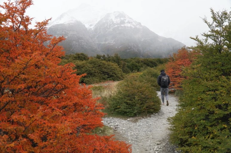 %ED%81%AC%EA%B8%B0%EB%B3%80%ED%99%98DSC08194.JPG?type=w773