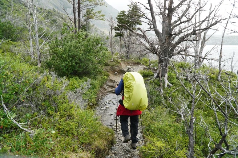 %ED%81%AC%EA%B8%B0%EB%B3%80%ED%99%98DSC05551.JPG?type=w773