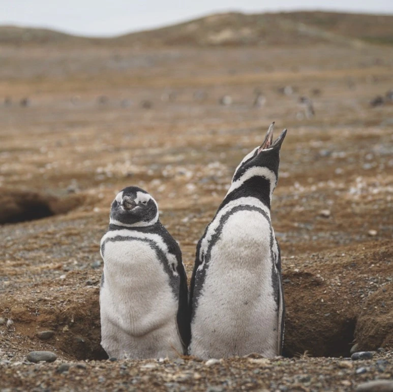 IMG_5574.JPG?type=w773