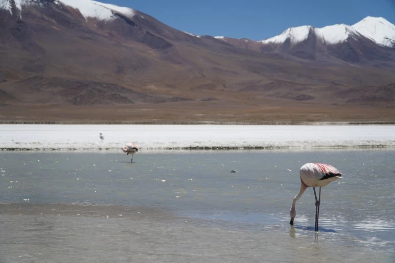 DSC04473.JPG?type=w773